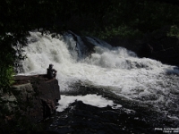 74322 - Vacation 2026 - Deerhurst - Kayaking the Oxtongue River to Marsh's Falls with John - Deb   Each New Day A Miracle  [  Understanding the Bible   |   Poetry   |   Story  ]- by Pete Rhebergen